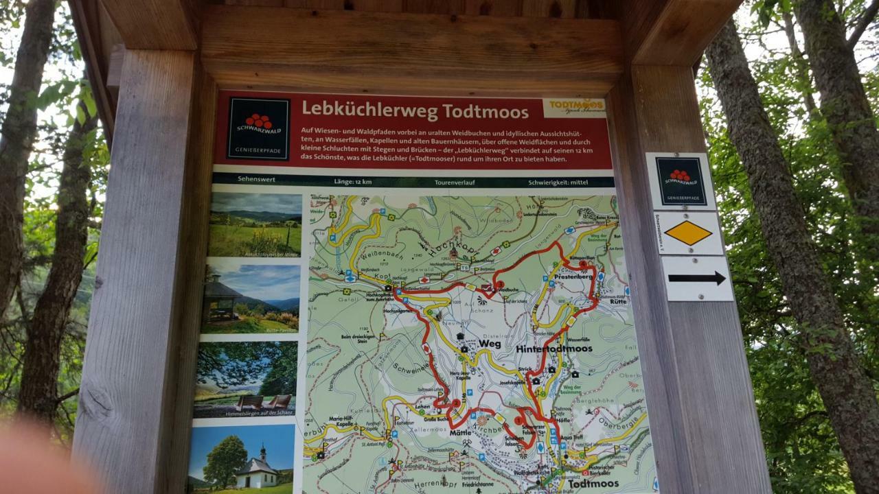 Ferienwohnung Im Schwarzwald Todtmoos Extérieur photo