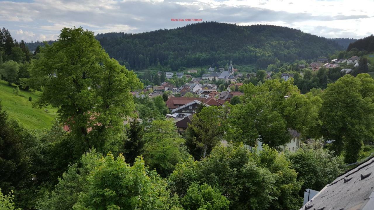 Ferienwohnung Im Schwarzwald Todtmoos Extérieur photo